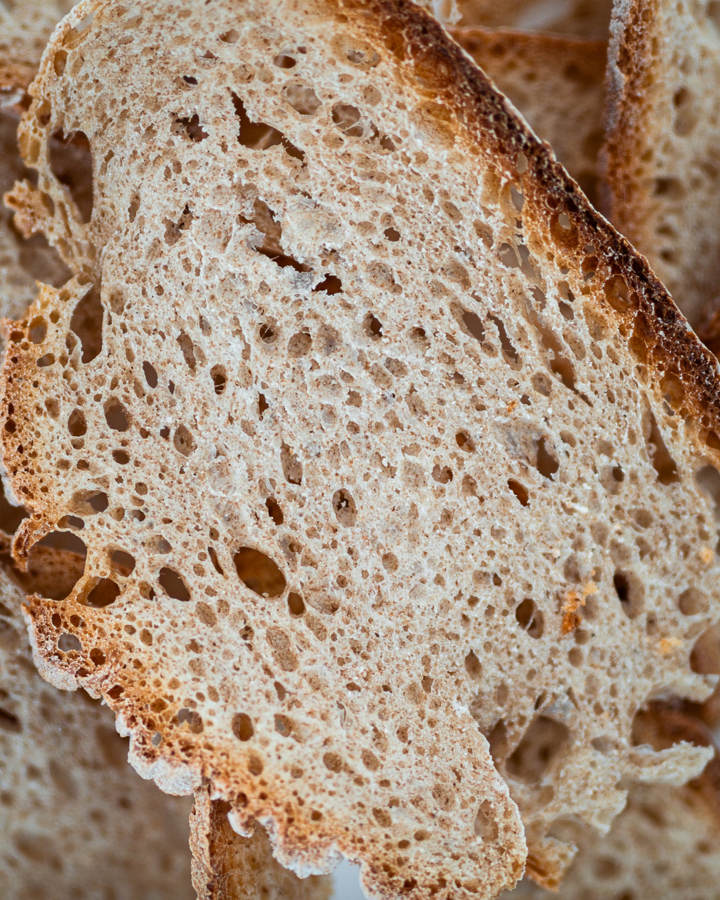 3mm Toasts - Simples